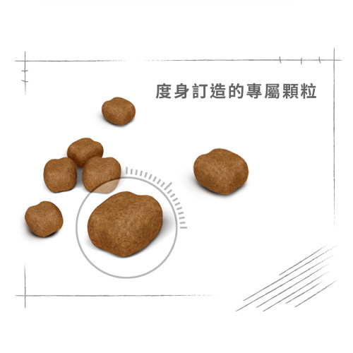 (送 Capylicious 140g 水豚補水湯罐 3罐 [款式和味道隨機] 數量有限, 送完即止, 贈品如於運輸途中輕微撞凹不設退換 (因罐質易凹), 如介意可備註打不要贈品) Royal Canin CAT (FCN) DENTAL Care Adult Cat 成貓高效潔齒加護配方 貓糧 8kg (2532080010)(原裝行貨)
